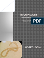 TRIQUINELOSIS (1)