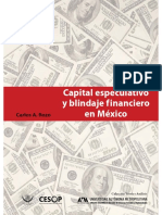 Capital Especulativo PDF