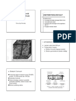 Studi Biofarmasetik obat melalui kulit.pdf