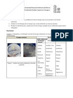 Informe Micro. Observación de Estructuras de Hongos 