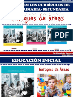 Enfoque de Las Areas-Dcn 2017