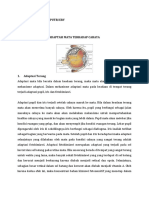 Adaptasi Mata Terhadap Cahaya