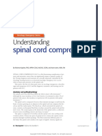 Understanding: Spinal Cord Compression