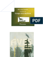 Libro, Las Aves Mas Comunes Del Lima y Alrededores PDF