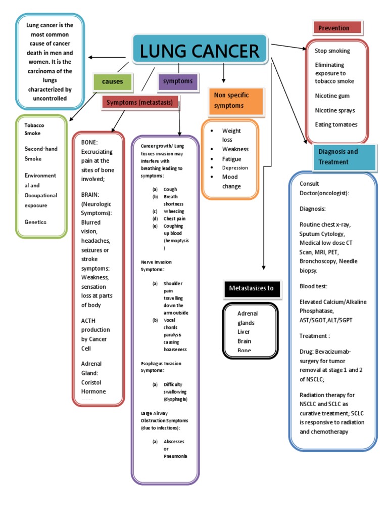 Concept Map Lung Lung Cancer Cancer