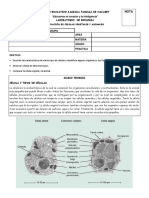 laboratorioobservaciondecelulas-130507140651-phpapp02