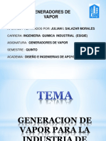 Generadores de Vapor 