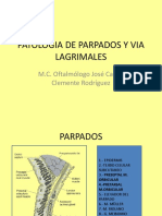 02 Patologia de parpados y Vias lacrimales. USMP.pdf