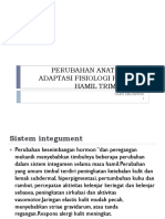 Perubahan Anatomi Dan Adaptasi Fisiologi Pada Ibu Hamil