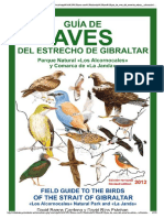 Guia de Aves Estrecho Gibraltar 