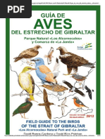 Guia de Aves Estrecho Gibraltar 