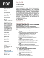 Zabihullah CV