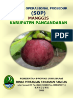 Manggis Pangandaran