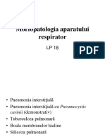 18 Morfopatologia Aparatului Respirator II