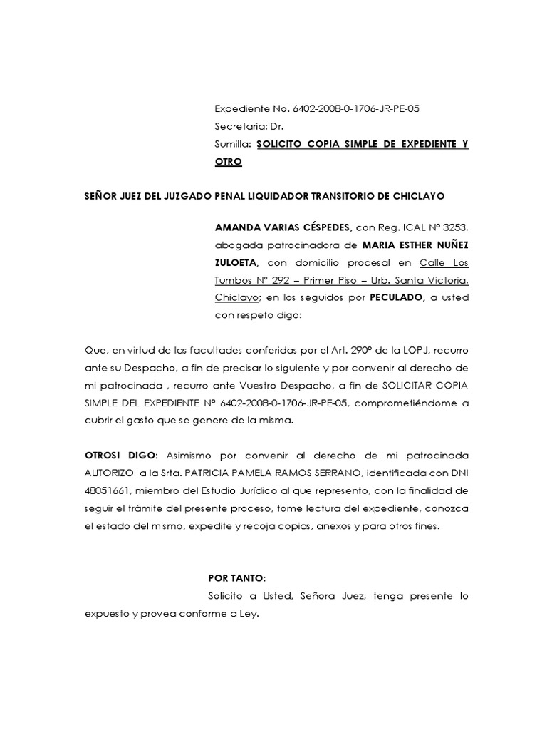 Solicito Copias | PDF