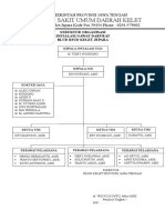 Struktur Organisasi IGD 1