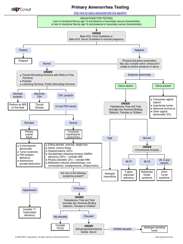 Primary Amenorrhea Testing Algorithm Pdf Women S Health