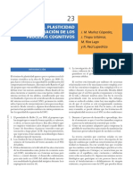 Neurciencias - Plasticidad y Recuperación de Los Procesos Cognitivos