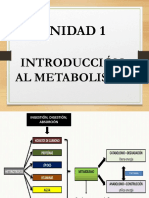 2 METABOLISMO INTRODUCCIÓN