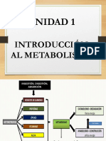 2 Metabolismo Introducción