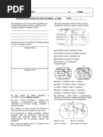 recuperacao 01 6o ano.pdf