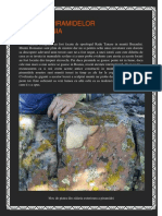 158021733-ZIDURILE-PIRAMIDELOR-DIN-ROMANIA.pdf