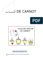 tarea ciclcos ppt