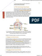 The Material Basis of TCM Immunology- Zang Organs