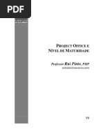 05 PMO_Prof Rui Pinto_Apostila Completa