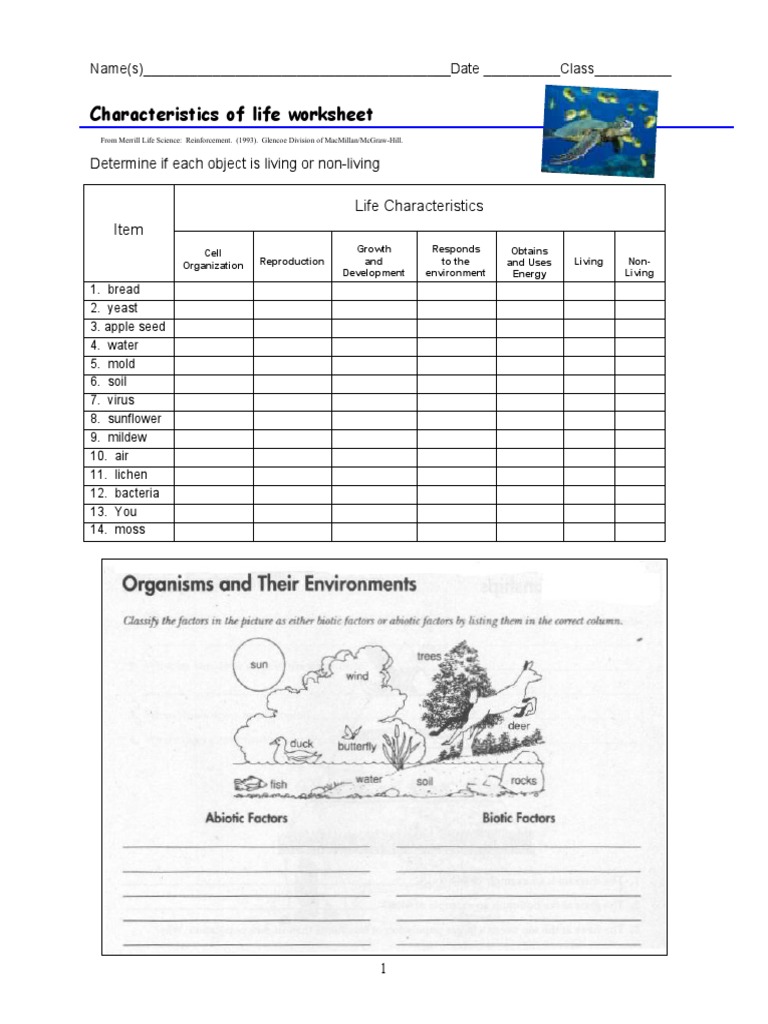 characteristics of life worksheet