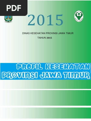 Profil Dinkes Prov Jatim 2015