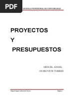 Texto Proyectos y Presupuestos