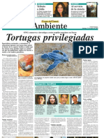 C1-Tortugas