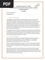 Definición de La Sociología