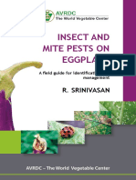 Eb0122 - Insects and Mite Pests On Eggplants