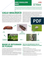 Manejo de Gusano Cogollero en Maiz PDF