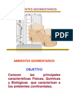 TEMA_4_Ambientes Sedimentarios.pdf