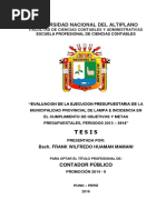 Frank Wilfredo Huaman Mamani