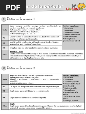 Dictees Ce2 Fichier Enseignant Complet Pdf Pinocchio Nombre Grammatical