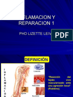 INFLAMACIÓN-REPARACIÓN-1
