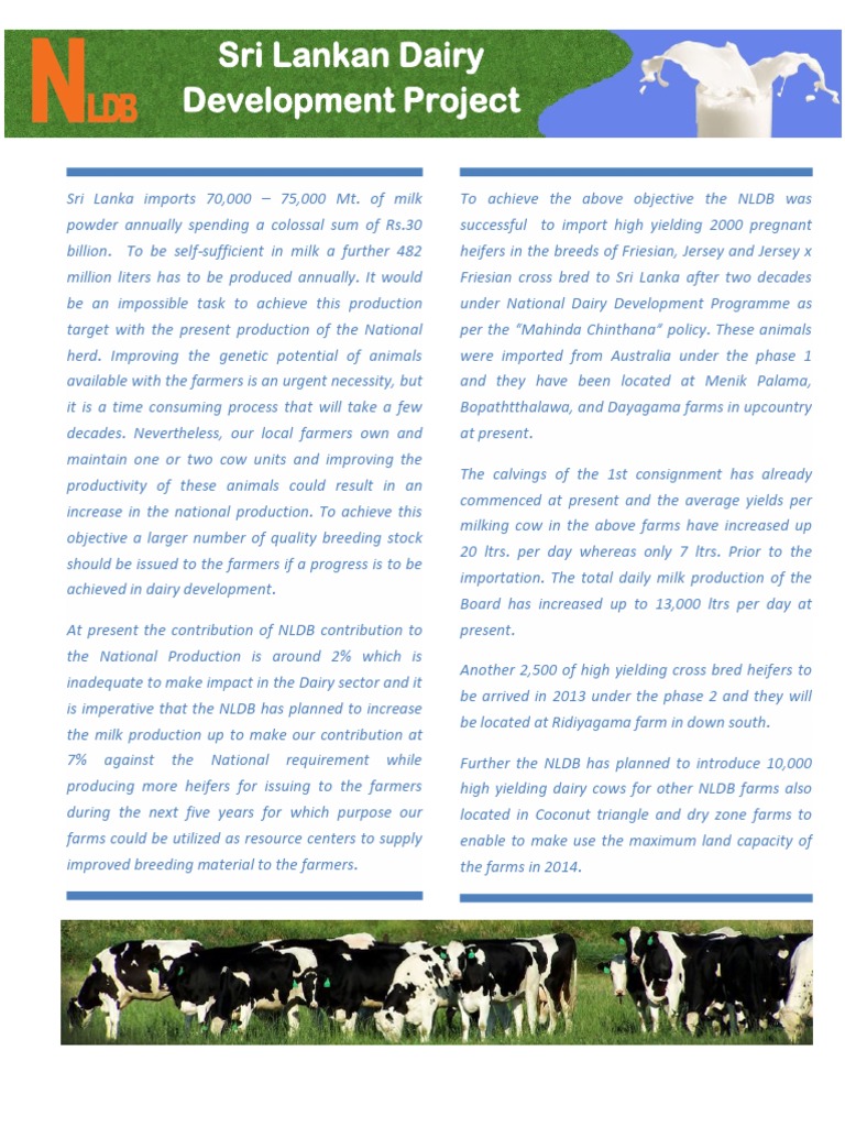Sri Lanka Dairy Development Strategy | PDF | Dairy | Cattle