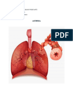 Student's Personal Experience with Asthma