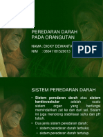Fiswan Dicky (Orangutan)