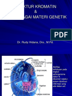 DNA Materi Gen & Struktur Kromatin