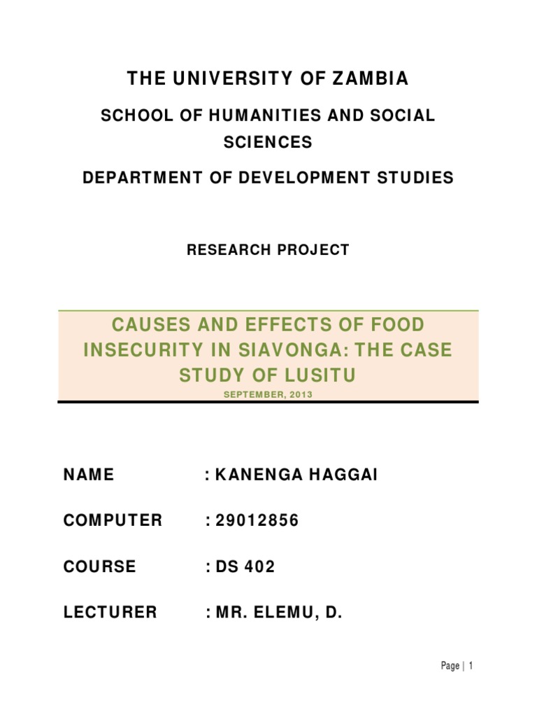 CAUSES AND EFFECTS OF FOOD INSECURITY IN pdf Food Security Hunger