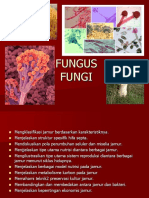 Fungi Aida