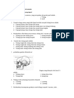 Soal Latihan Sistem Gerak Mnusia