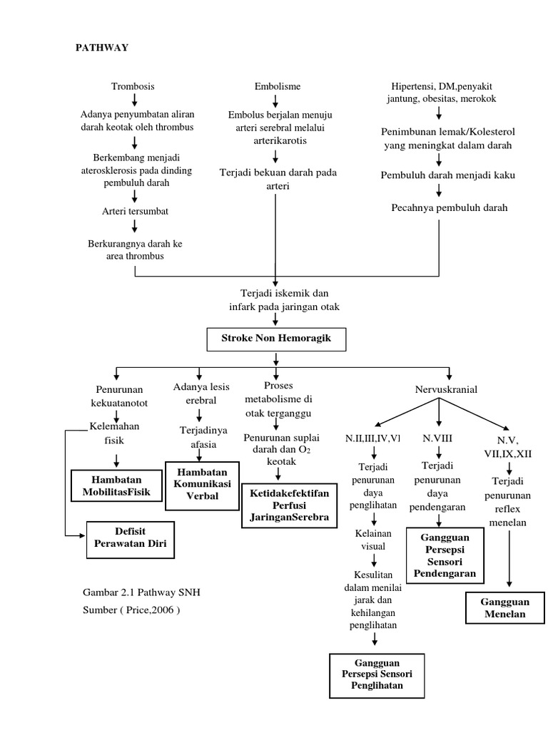 Pathway Stroke Non Hemoragik | PDF