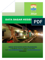 Data Kesehatan Palembang 2016