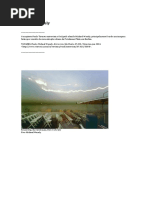 Wesely entrevista .pdf